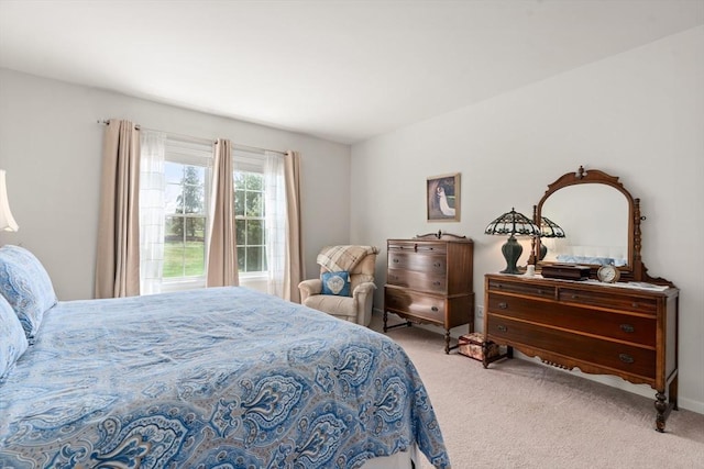 8 Heartwood Way Unit 8, Hopkinton, MA 01748 - view of carpeted bedroom
