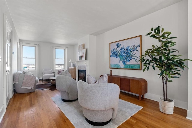 living room featuring hardwood / wood-style flooring and a high end fireplace