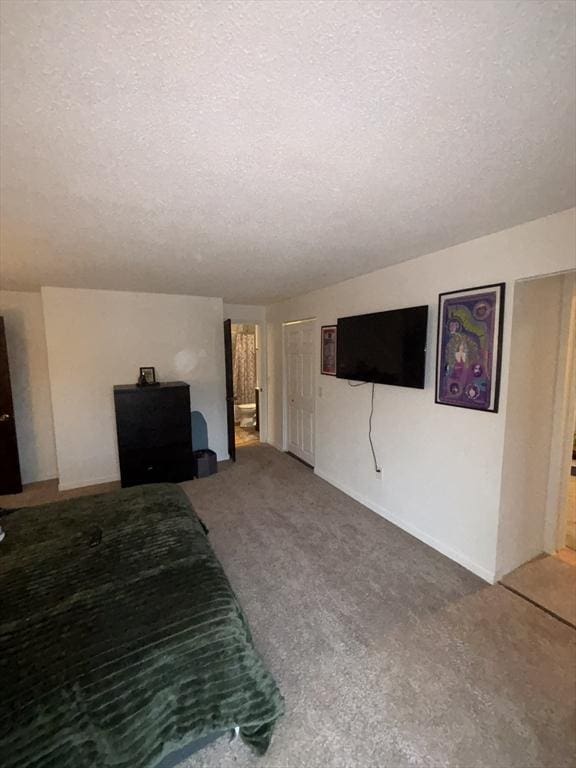 basement with carpet and a textured ceiling