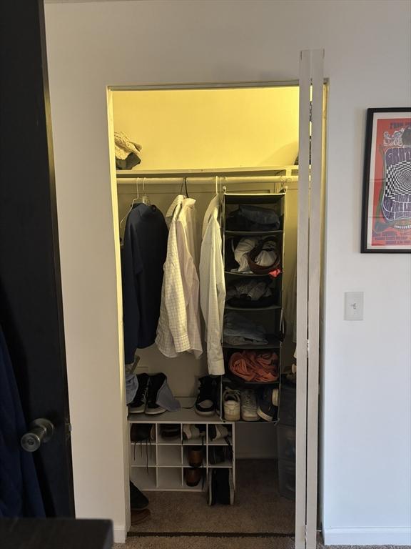 view of closet