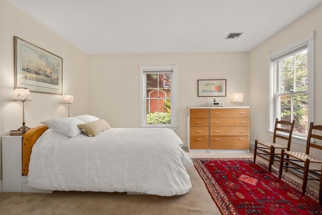 37 Waverly Unit 37, Brookline, MA 02445 - bedroom featuring carpet floors
