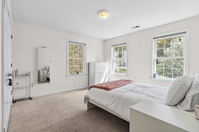 bedroom with carpet flooring, baseboards, and visible vents