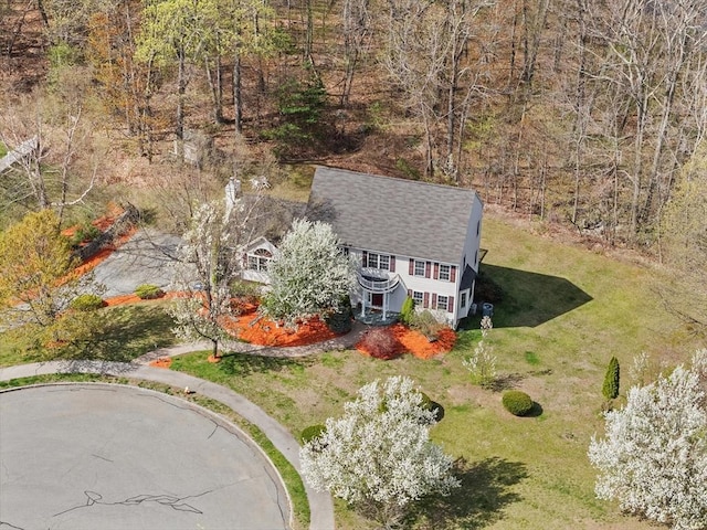 drone / aerial view
