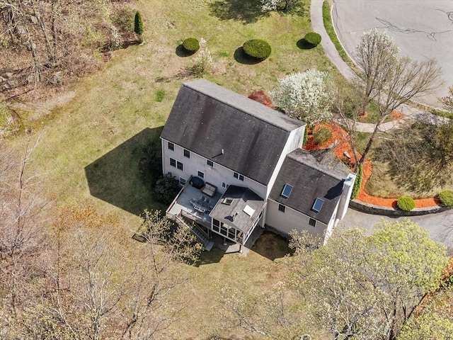 bird's eye view