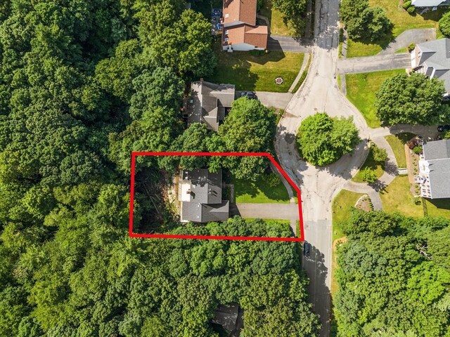 63 Forge Rd, Sharon, MA 02067 - view of property location featuring property parcel outlined