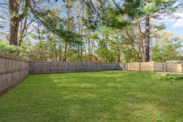 view of yard featuring a fenced backyard