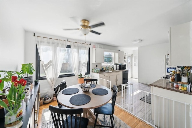 dining room featuring light wood-style floors and ceiling fan