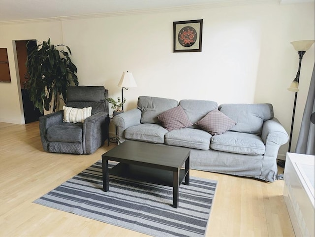99 Pond Ave Unit 608, Brookline, MA 02445 - living area with ornamental molding and wood finished floors