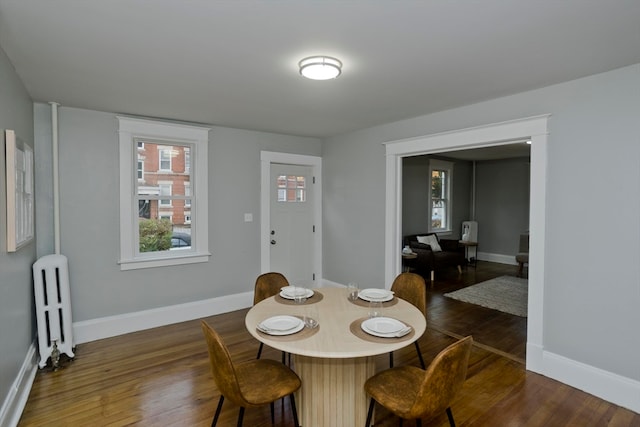 dining room featuring dark wood-type flooring and radiator