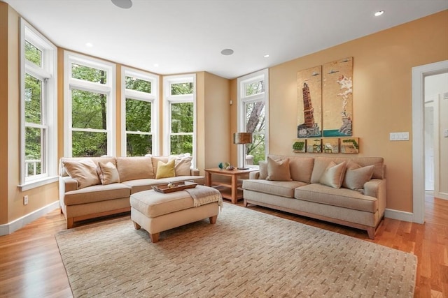 living area with light wood-style floors, a wealth of natural light, and baseboards