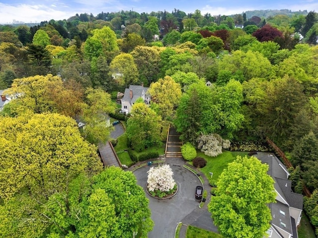 bird's eye view featuring a view of trees