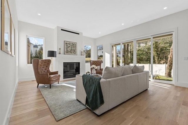 living room with light wood-type flooring