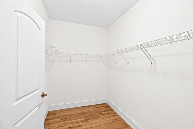 46 Walden Way Unit 46, Milford, MA 01757 - walk in closet featuring light wood-style flooring