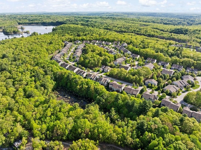 46 Walden Way Unit 46, Milford, MA 01757 - bird's eye view of a forest and a nearby body of water