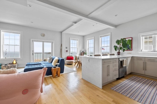 148 Winthrop Shore Dr Unit 4, Winthrop, MA 02152 - kitchen featuring open floor plan, dishwasher, gray cabinetry, plenty of natural light, and beam ceiling