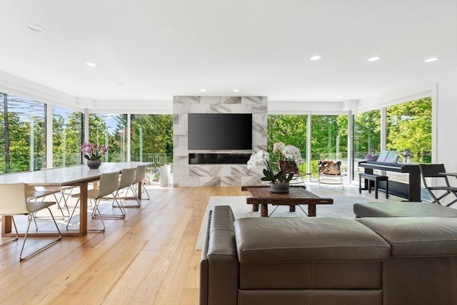 30 Whipple Rd, Lexington, MA 02420 - living room featuring light wood-style floors and recessed lighting