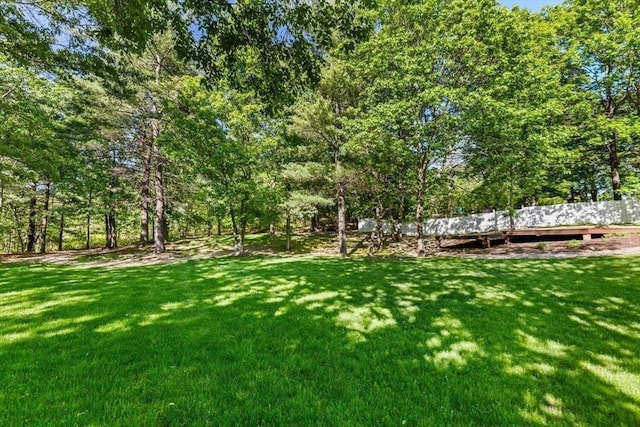 30 Whipple Rd, Lexington, MA 02420 - view of green lawn