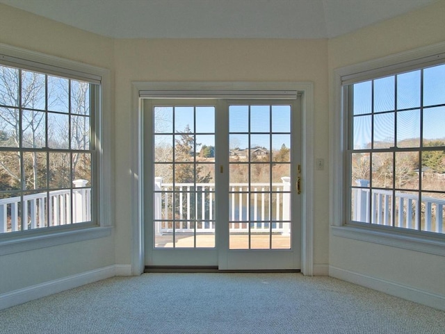 entryway with carpet and a healthy amount of sunlight