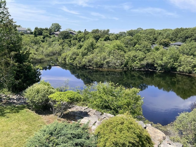 view of water feature