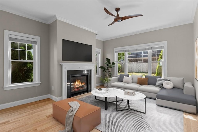 4 Emerald Way Unit 4, Salisbury, MA 01952 - living room featuring wood finished floors, ceiling fan, ornamental molding, and a glass covered fireplace