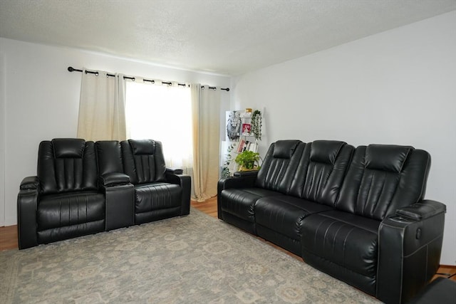 25 Sutherland St, Lowell, MA 01850 - living room featuring wood finished floors and a textured ceiling