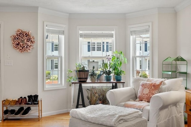 24 Merrimac Way Unit H, Tyngsborough, MA 01879 - sitting room featuring light wood-type flooring, healthy amount of natural light, baseboards, and crown molding