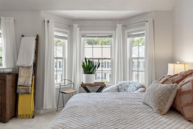 24 Merrimac Way Unit H, Tyngsborough, MA 01879 - bedroom with light colored carpet and baseboards