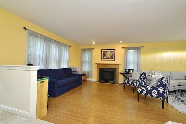 21 Hunt Dr, Stoughton, MA 02072 - living room featuring light wood-style flooring and a glass covered fireplace