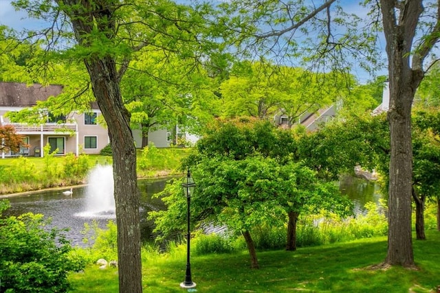 3 Concord Greene Unit 4, Concord, MA 01742 - view of community with a water view and a yard