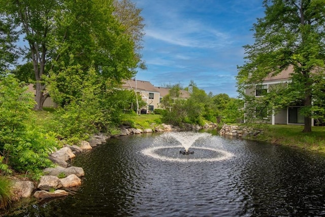 3 Concord Greene Unit 4, Concord, MA 01742 - water view