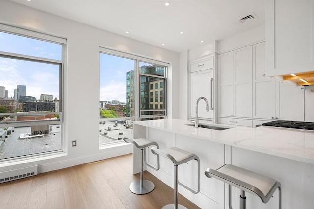 700 Harrison Ave Unit Ph-610, Boston, MA 02118 - kitchen featuring a sink, a view of city, white cabinets, a breakfast bar, and light wood-style flooring
