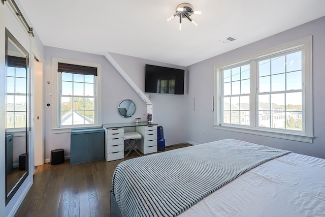 bedroom featuring dark wood-type flooring and multiple windows