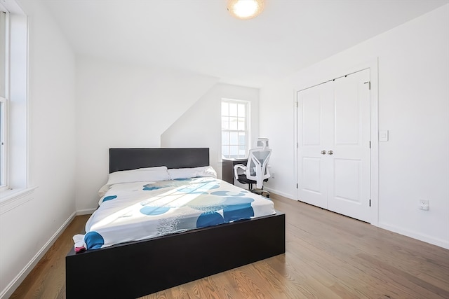 bedroom featuring wood-type flooring and a closet