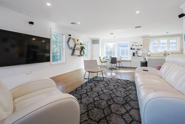 living room featuring crown molding, hardwood / wood-style floors, sink, and plenty of natural light