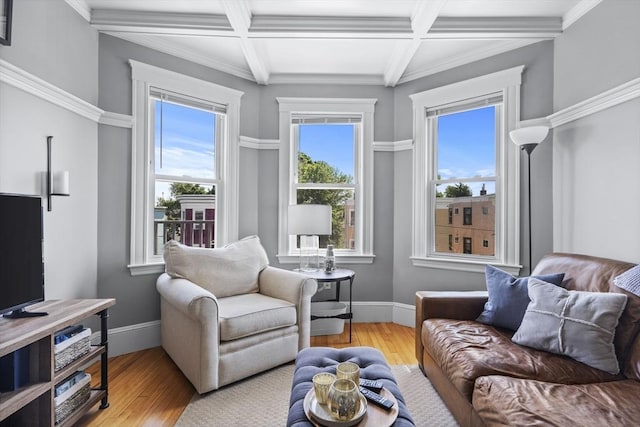 40 King St Unit 3, Boston, MA 02122 - living area with coffered ceiling, wood finished floors, beam ceiling, and ornamental molding