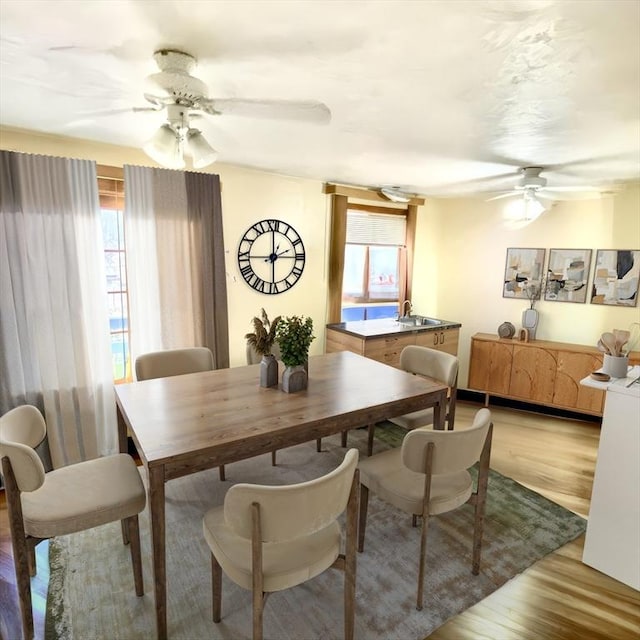 dining space with ceiling fan, sink, and light wood-type flooring