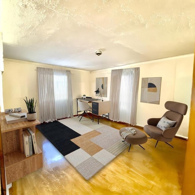 sitting room featuring a textured ceiling