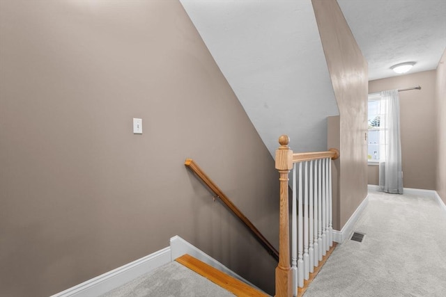 staircase featuring carpet floors