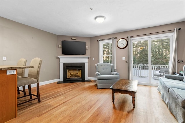 living room with light hardwood / wood-style flooring