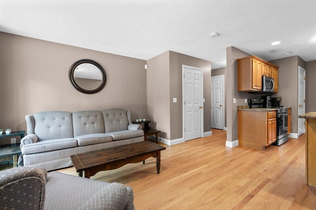 living room with light hardwood / wood-style flooring