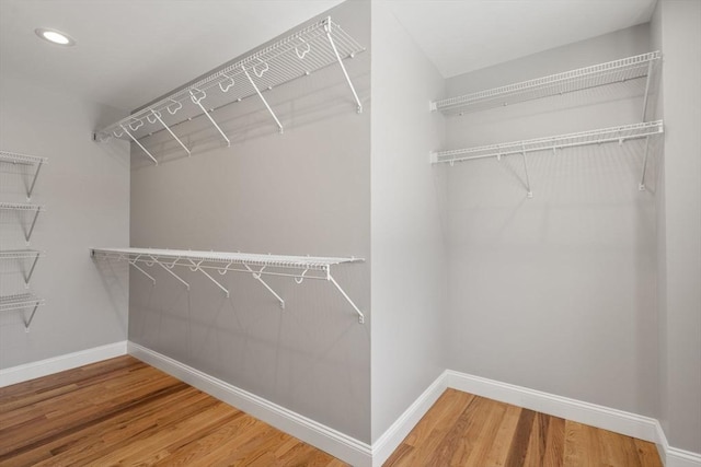 spacious closet with wood-type flooring