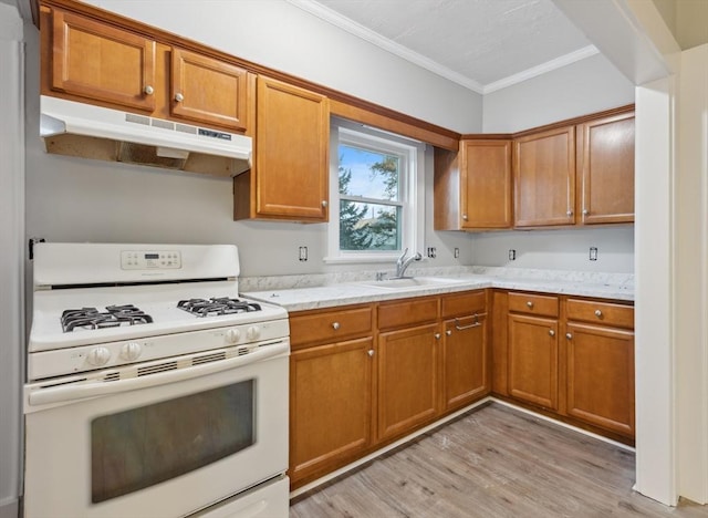 kitchen with sink, crown molding, white gas stove, light hardwood / wood-style floors, and light stone counters