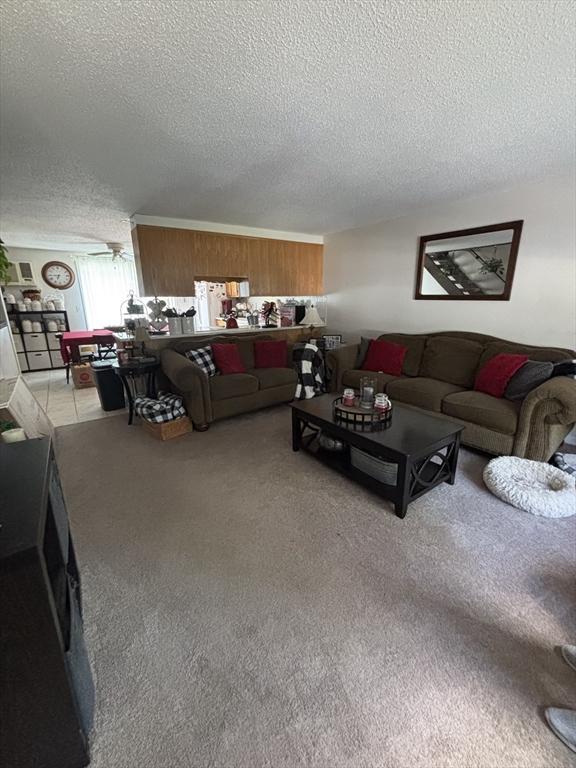 115 Redemption Rock Trl, Sterling, MA 01564 - living room with a textured ceiling and carpet floors