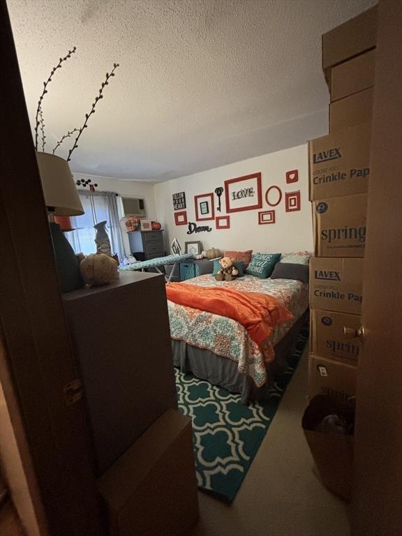 115 Redemption Rock Trl, Sterling, MA 01564 - bedroom featuring a textured ceiling