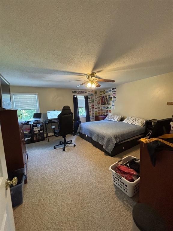 115 Redemption Rock Trl, Sterling, MA 01564 - carpeted bedroom with a textured ceiling, a desk, multiple windows, and a ceiling fan