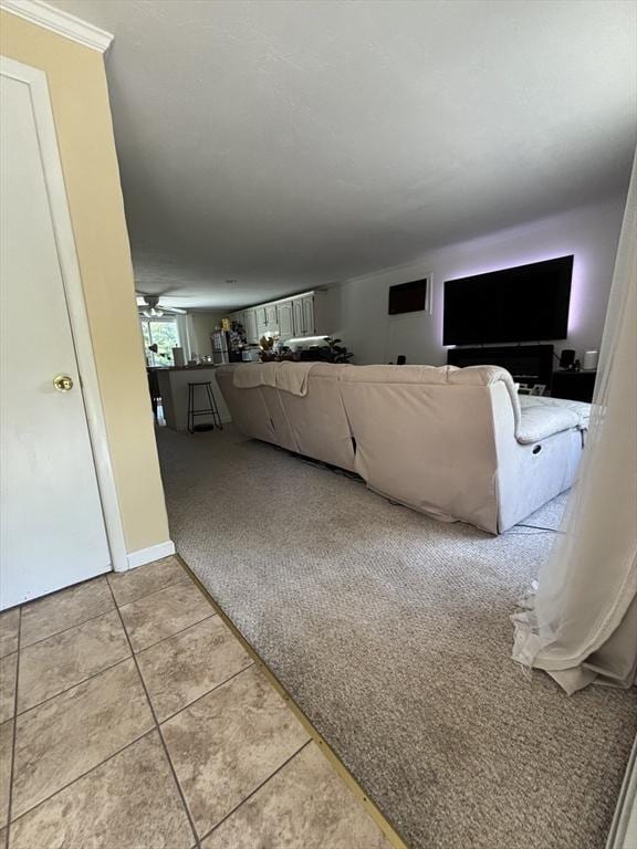 115 Redemption Rock Trl, Sterling, MA 01564 - carpeted living area with tile patterned flooring