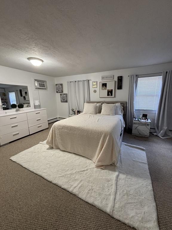 115 Redemption Rock Trl, Sterling, MA 01564 - bedroom featuring carpet, a baseboard radiator, and a textured ceiling