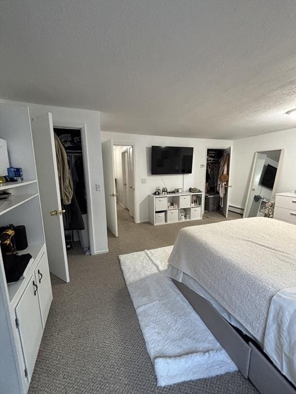 115 Redemption Rock Trl, Sterling, MA 01564 - carpeted bedroom with a spacious closet, a textured ceiling, a closet, and a baseboard radiator