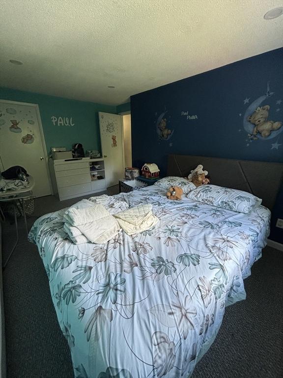 115 Redemption Rock Trl, Sterling, MA 01564 - carpeted bedroom with a textured ceiling