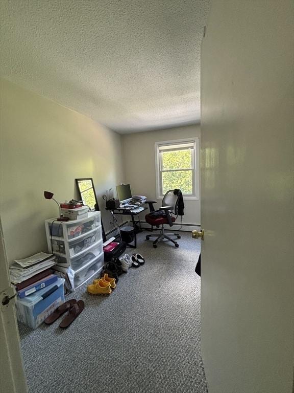 115 Redemption Rock Trl, Sterling, MA 01564 - home office featuring a textured ceiling and carpet